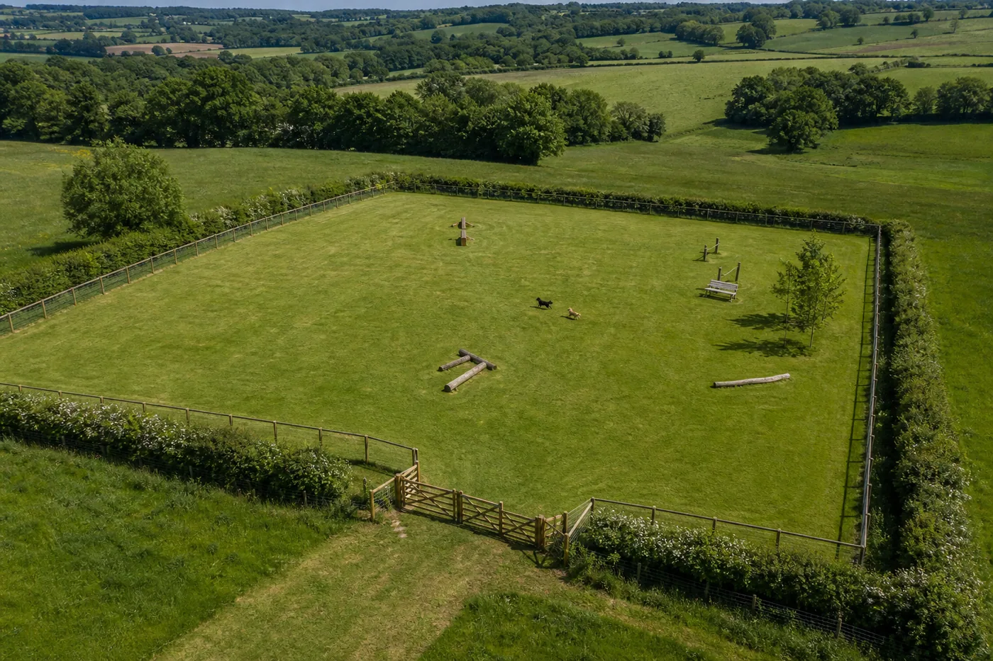 An aerial view of a green dog exercise field